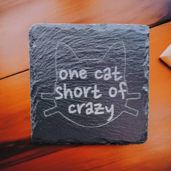 Slate Drinks Coaster with Funny Cat Person Quote
