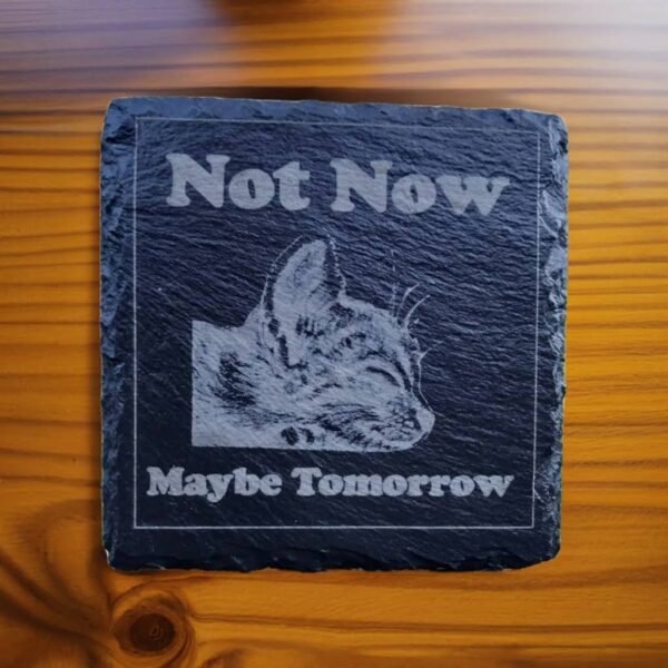 Sleeping Cat Slate Drinks Coaster