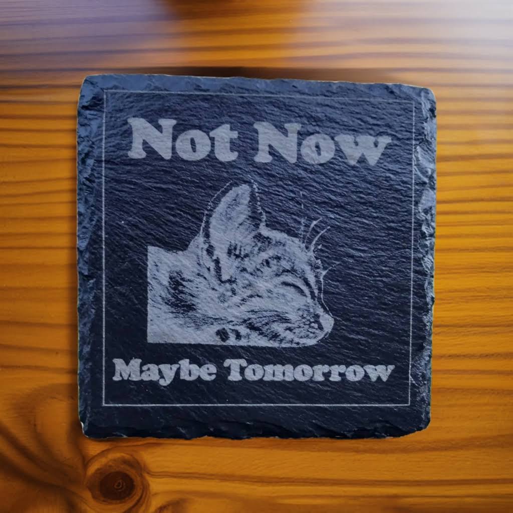 Sleeping Cat Slate Drinks Coaster