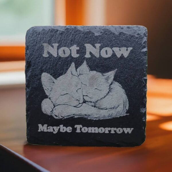 Slate Drinks Coaster with Gorgeous Sleeping Cats