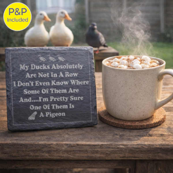 Slate engraved coaster reading “My Ducks Absolutely Are Not In A Row” beside a steaming mug of hot chocolate, with two ducks and a pigeon in the background.